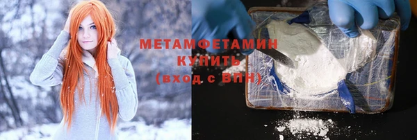 хмурый Пересвет