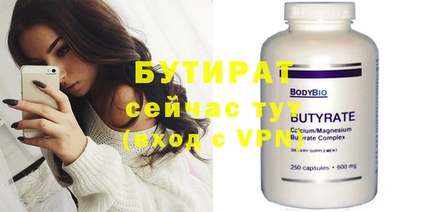 хмурый Пересвет