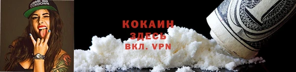 дживик Абаза