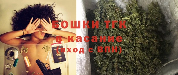 дживик Абаза