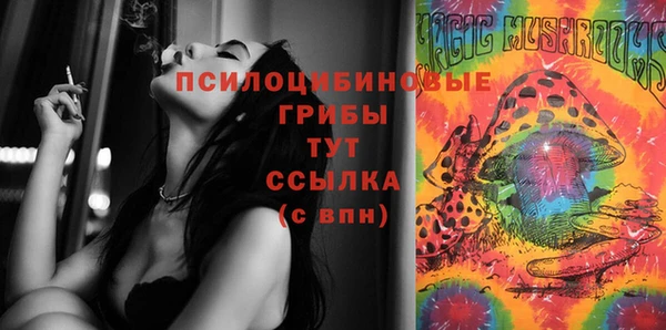 дживик Абаза